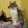 Отзыв от Варвара Фомичева